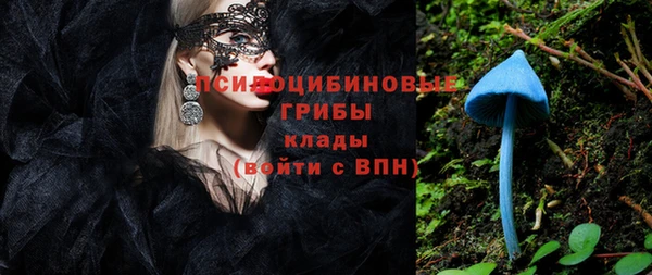 крисы Алексин