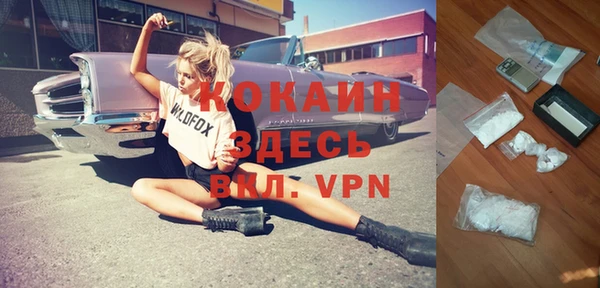 крисы Алексин